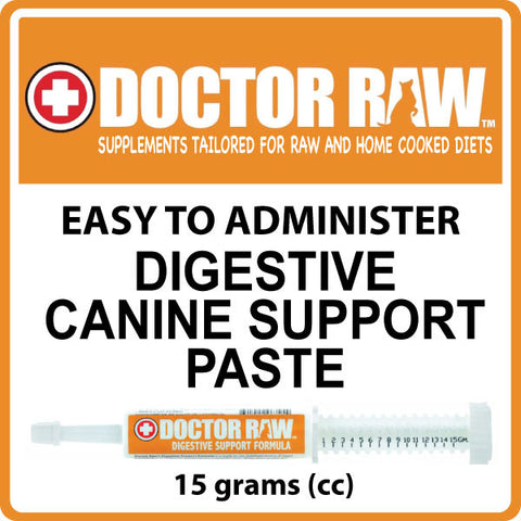 Doctor Raw Dog Food Supplement Digestive Support Paste