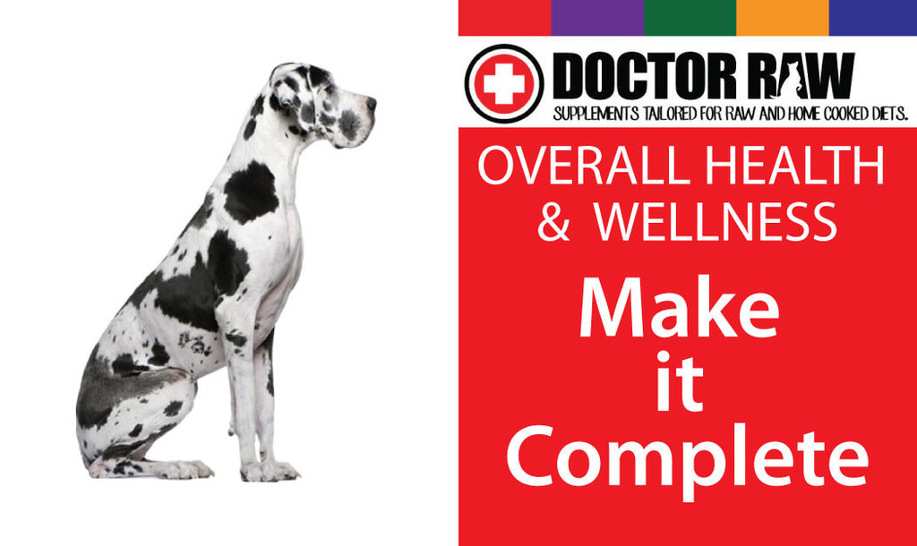Doctor Raw Dog Food Supplements Overall Health & Wellness