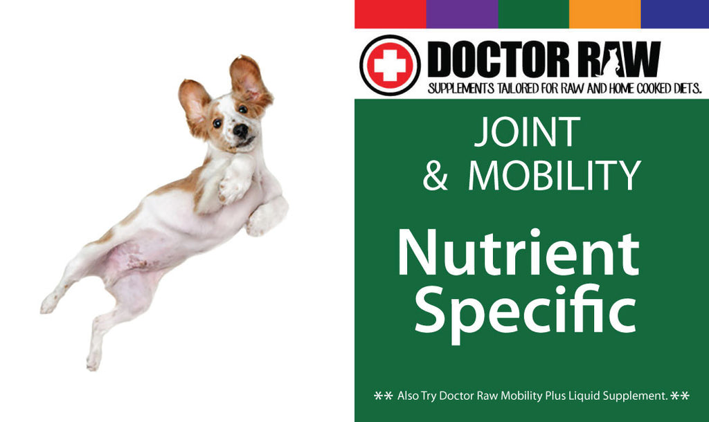 Doctor Raw Dog Food Supplements for Joint and Mobility Organic Supplements for Dogs