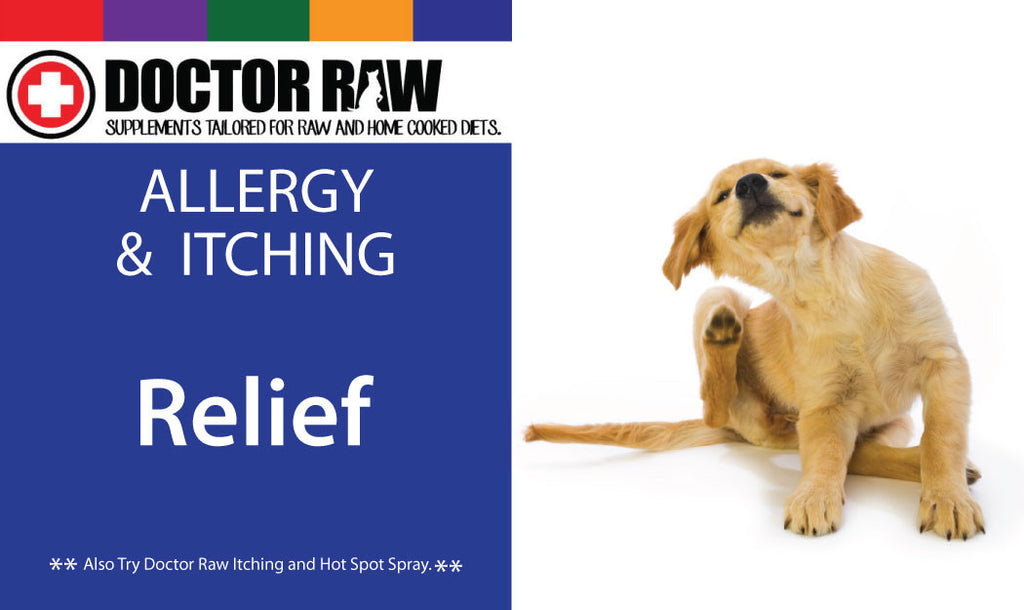 Doctor Raw Dog Food Supplements for Allergy and Itching Formulas
