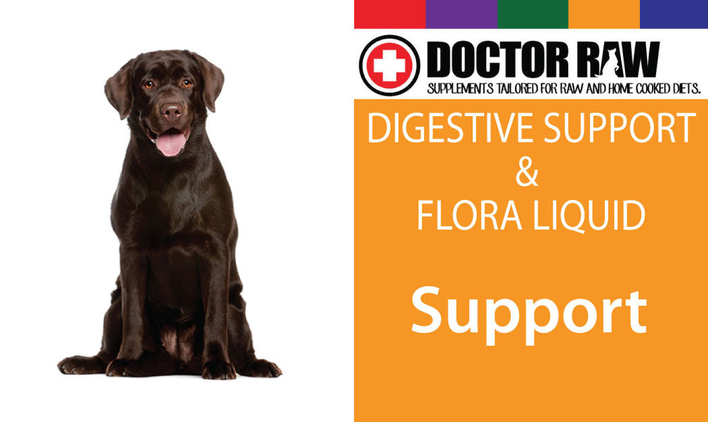 Doctor Raw Dog Food Supplements and Probiotics for Digestive Support